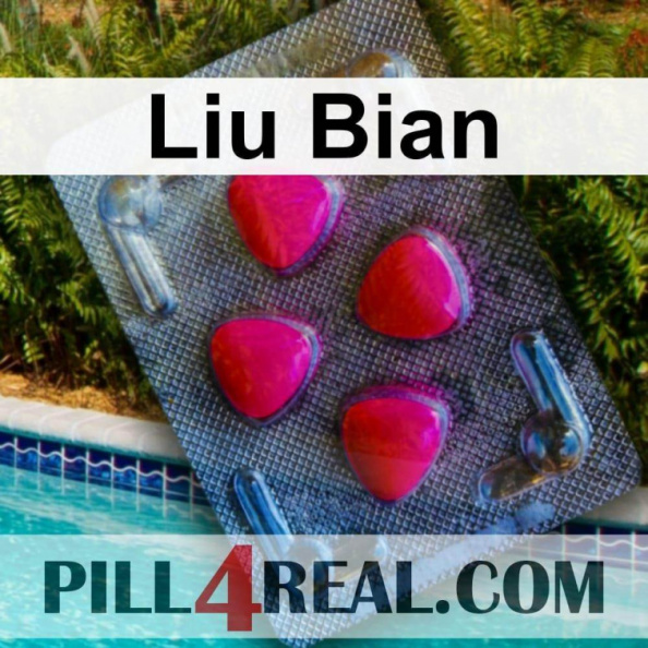 Liu Bian 458