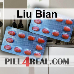 Liu Bian 476