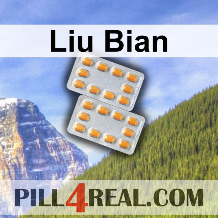 Liu Bian 503