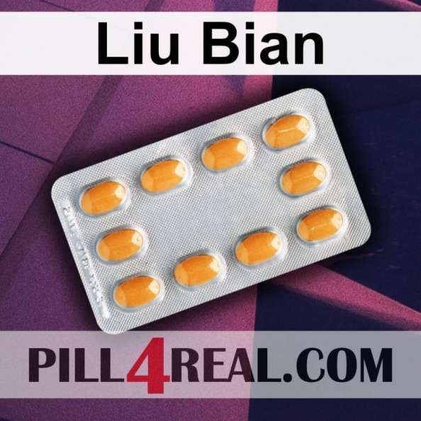 Liu Bian 536