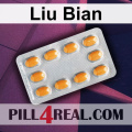 Liu Bian 536