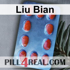 Liu Bian 562