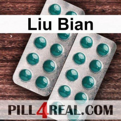 Liu Bian 570