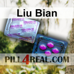 Liu Bian 607
