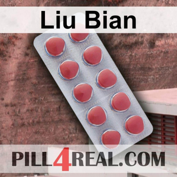 Liu Bian 668