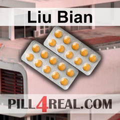 Liu Bian 701