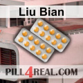Liu Bian 701