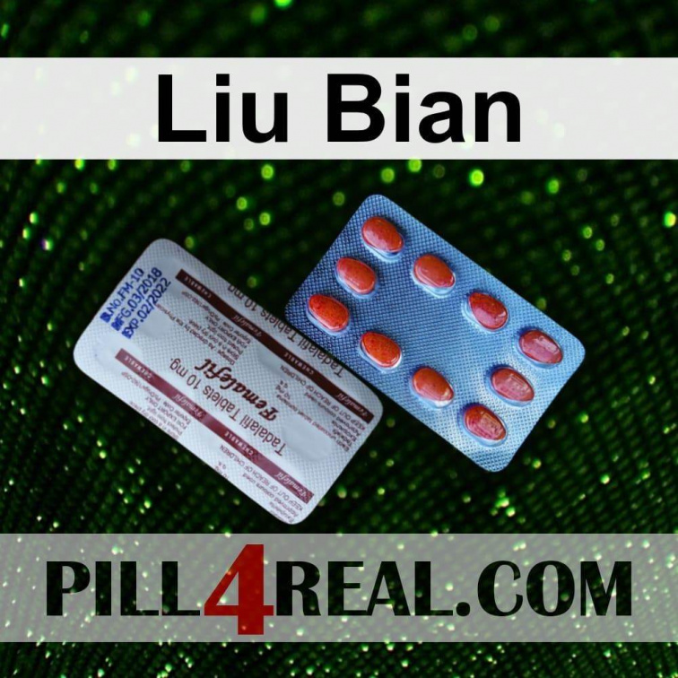 Liu Bian 705