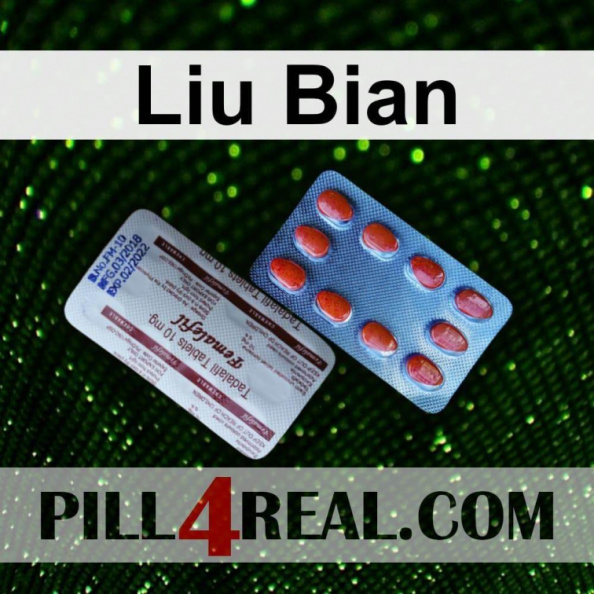 Liu Bian 705