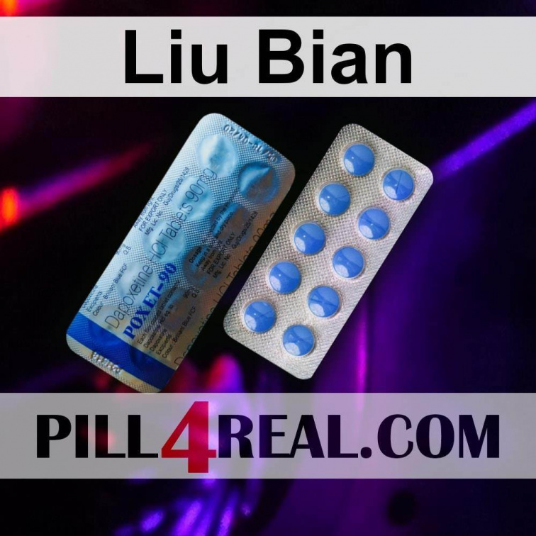 Liu Bian 728