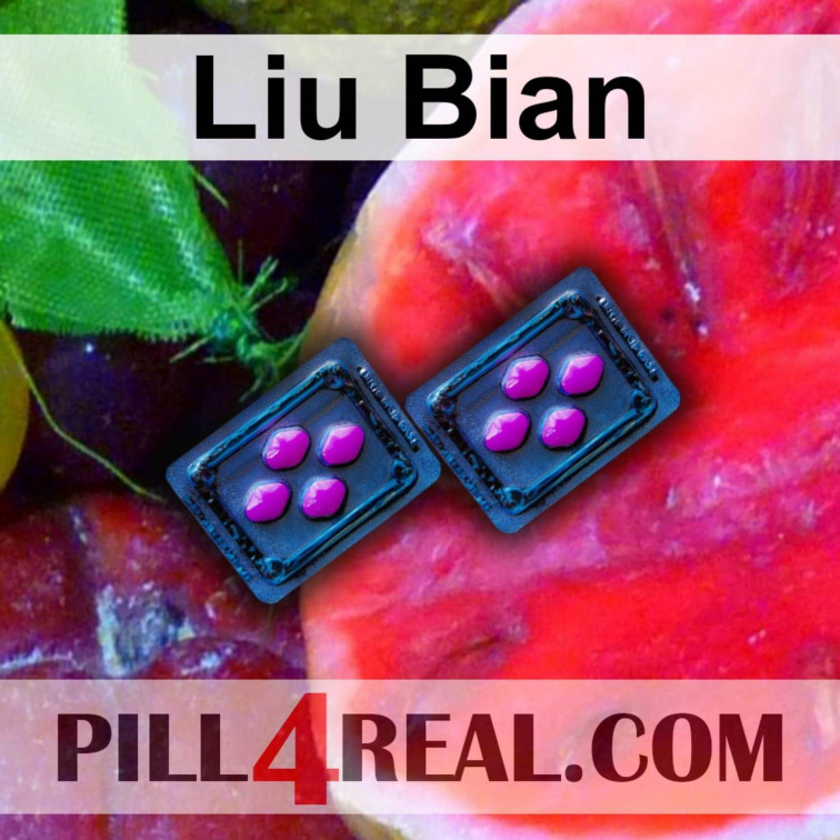 Liu Bian 769