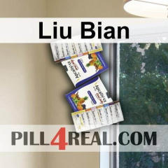Liu Bian 785