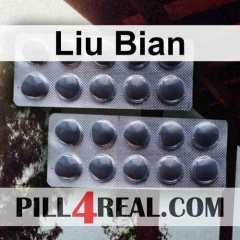 Liu Bian 786