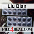 Liu Bian 786