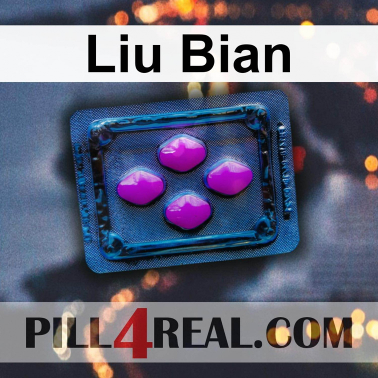 Liu Bian 881
