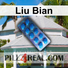 Liu Bian 895