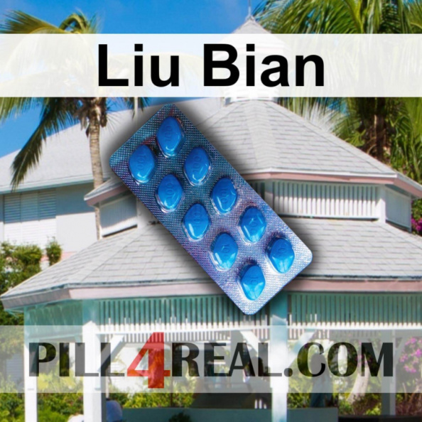 Liu Bian 895