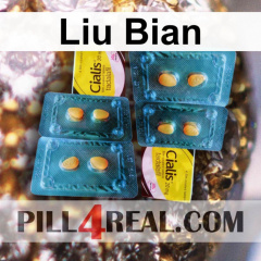 Liu Bian 896