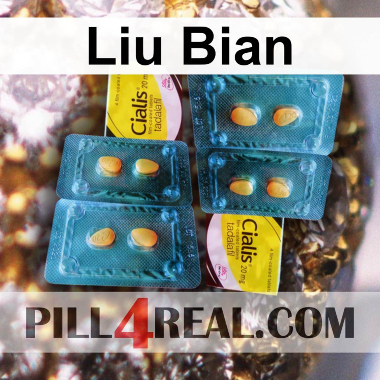 Liu Bian 896