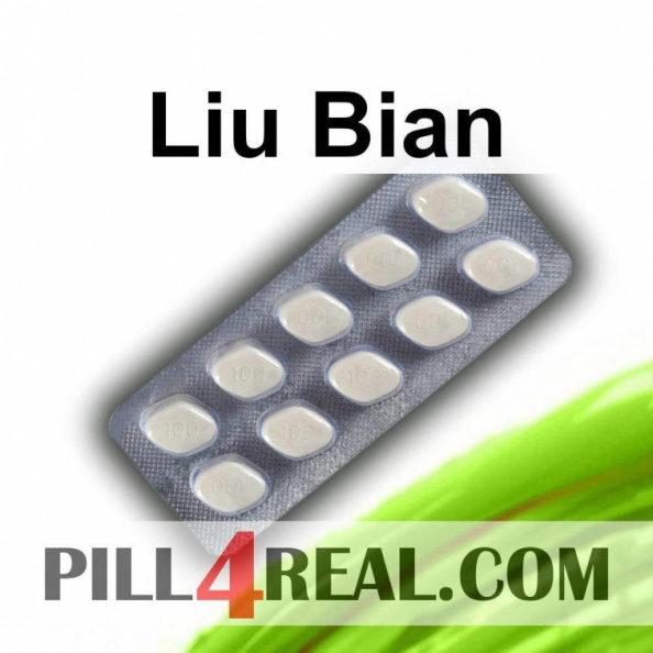 Liu Bian 908