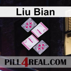 Liu Bian 970