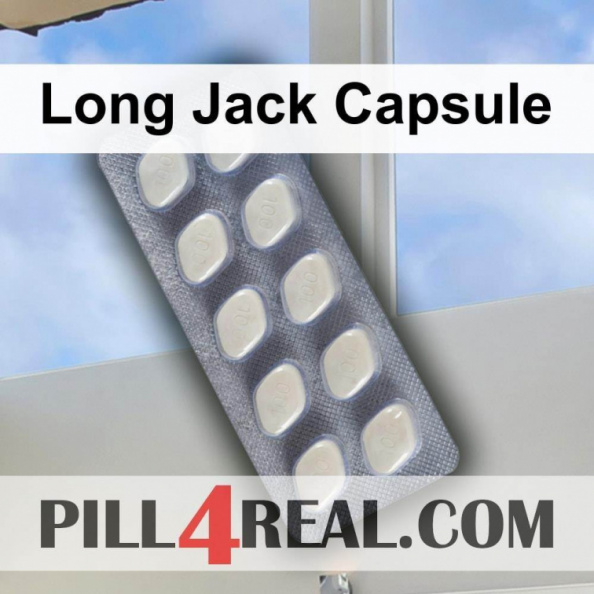 Long Jack Capsule 183
