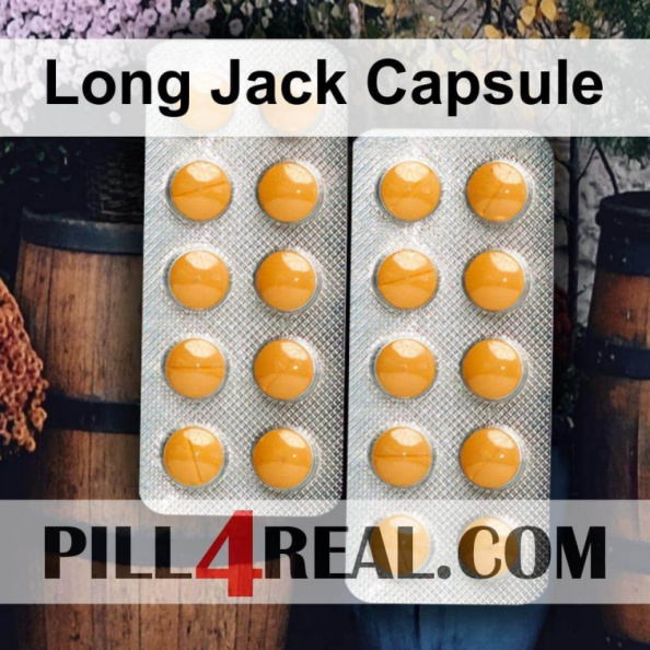 Long Jack Capsule 413