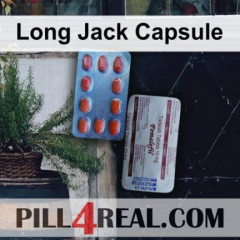Long Jack Capsule 447