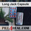 Long Jack Capsule 447