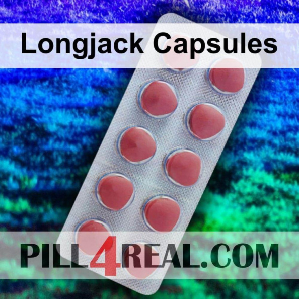 Longjack Capsules 514