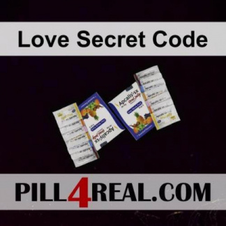 Love Secret Code 339