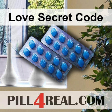 Love Secret Code 412