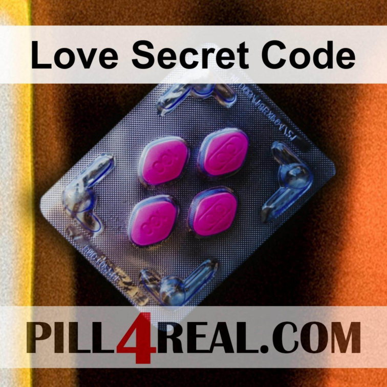 Love Secret Code 789