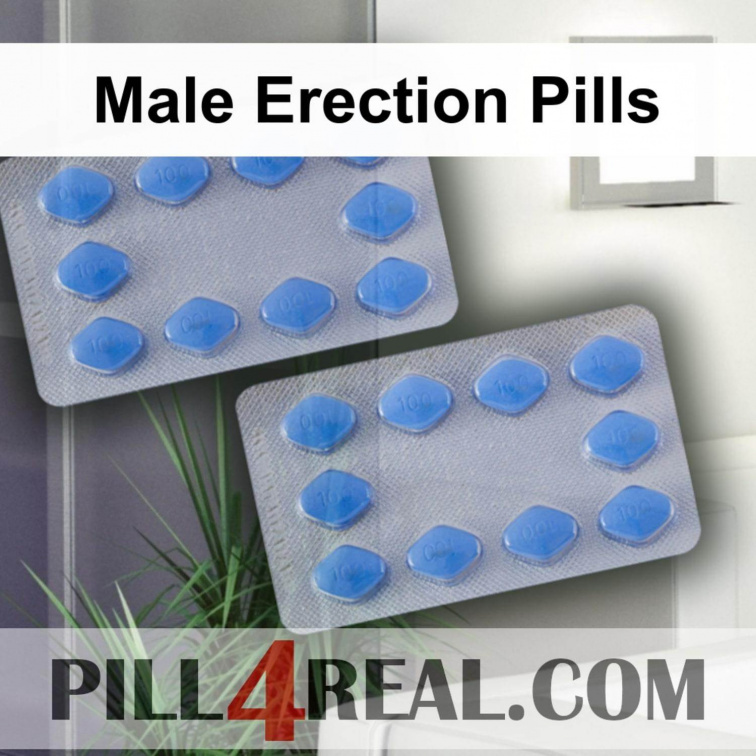 Male Erection Pills 303