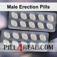 Male Erection Pills 463