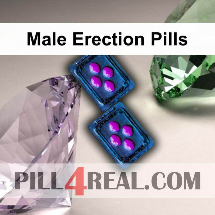 Male Erection Pills 466