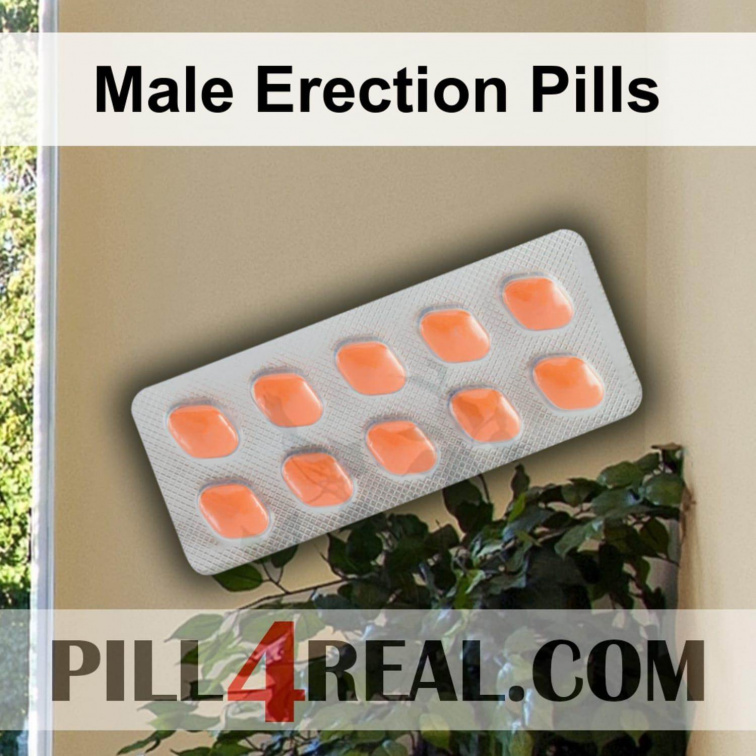 Male Erection Pills 468