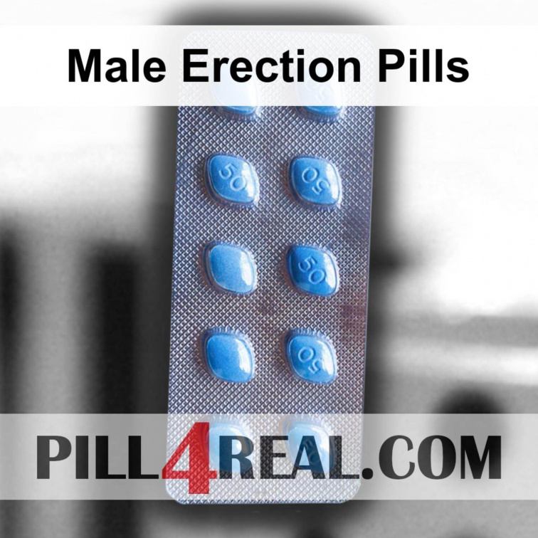 Male Erection Pills 584
