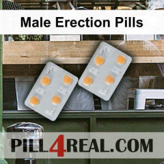 Male Erection Pills 645