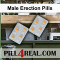Male Erection Pills 645