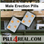 Male Erection Pills 645