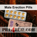 Male Erection Pills 702