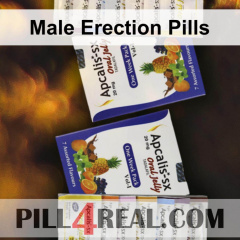 Male Erection Pills 719
