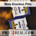 Male Erection Pills 719