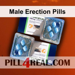 Male Erection Pills 797