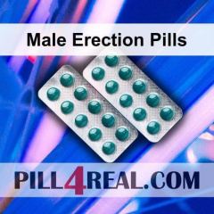 Male Erection Pills 906