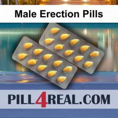 Male Erection Pills 966
