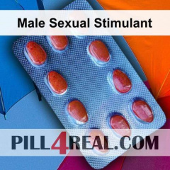 Male Sexual Stimulant 304