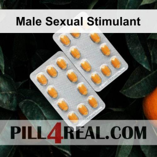 Male Sexual Stimulant 563