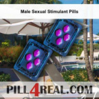 Male Sexual Stimulant Pills 705